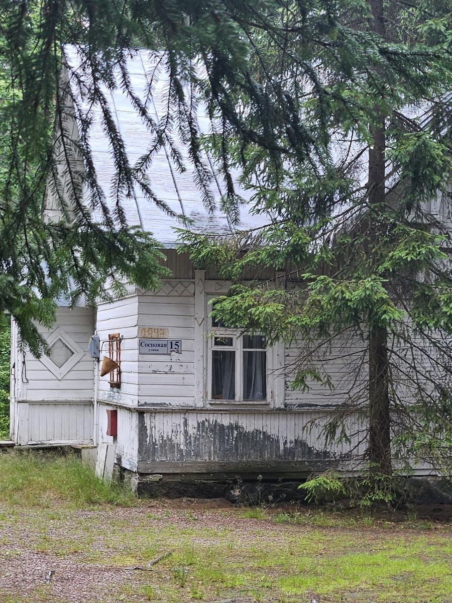 Фото: администрация Петербурга
