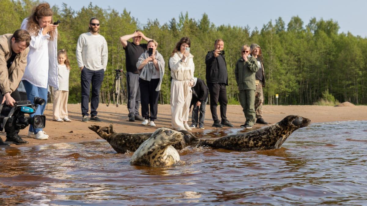 Фото: Водоканал Петербурга