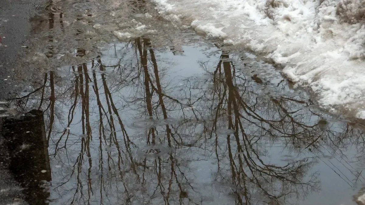 Фото: Олег Золото / MR7