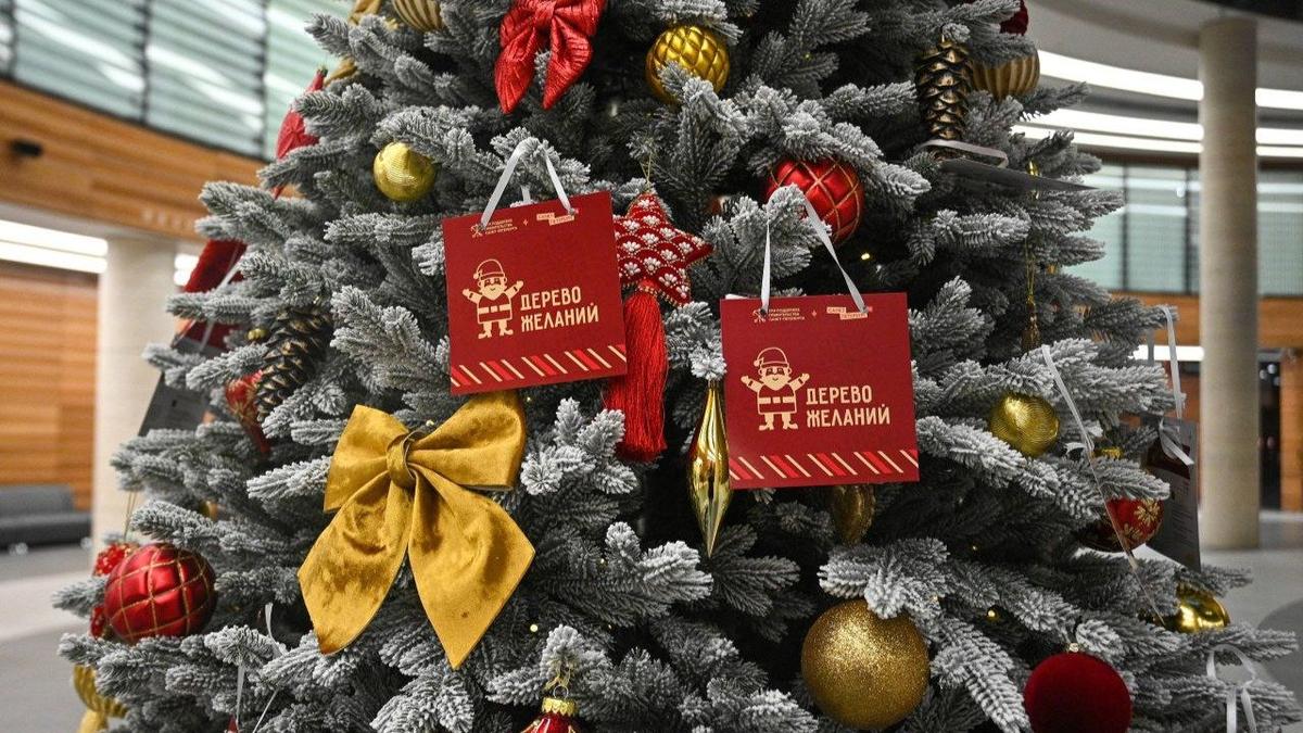 Фото: комитет по транспорту