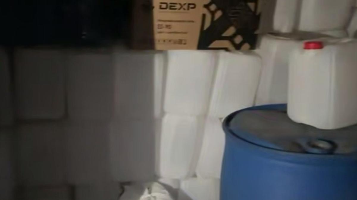 Скриншот видео: Ирина Волк