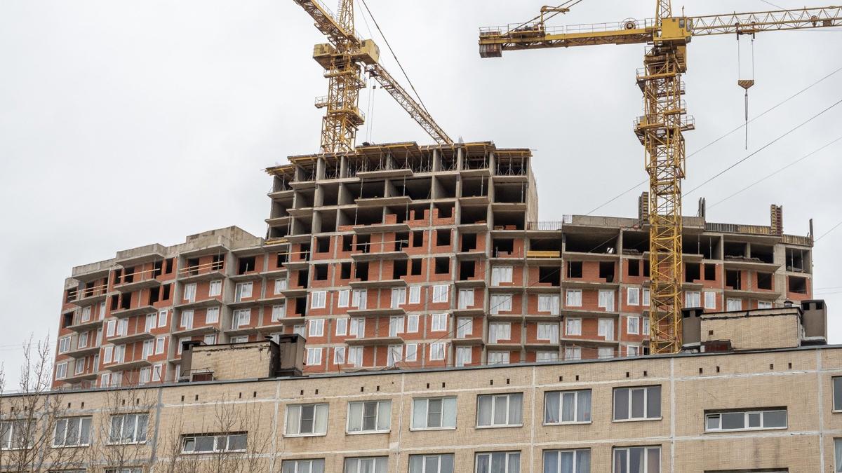 Фото: Олег Золото / MR7