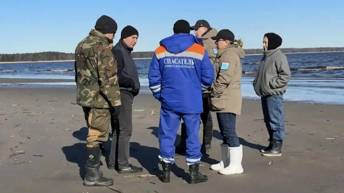 Фото: Эконадзор Ленобласти