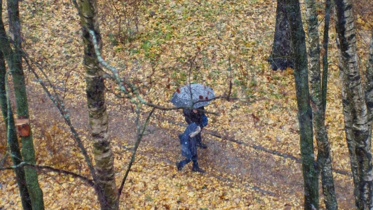 Фото: Дмитрий Абрамов / MR7