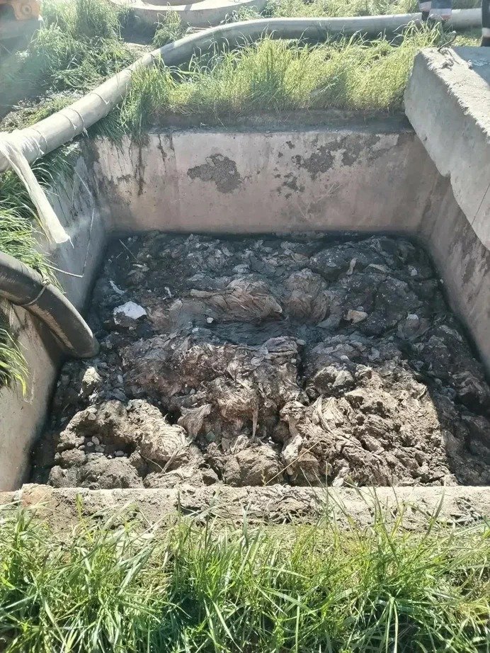 Фото: Водоканал Петербурга
