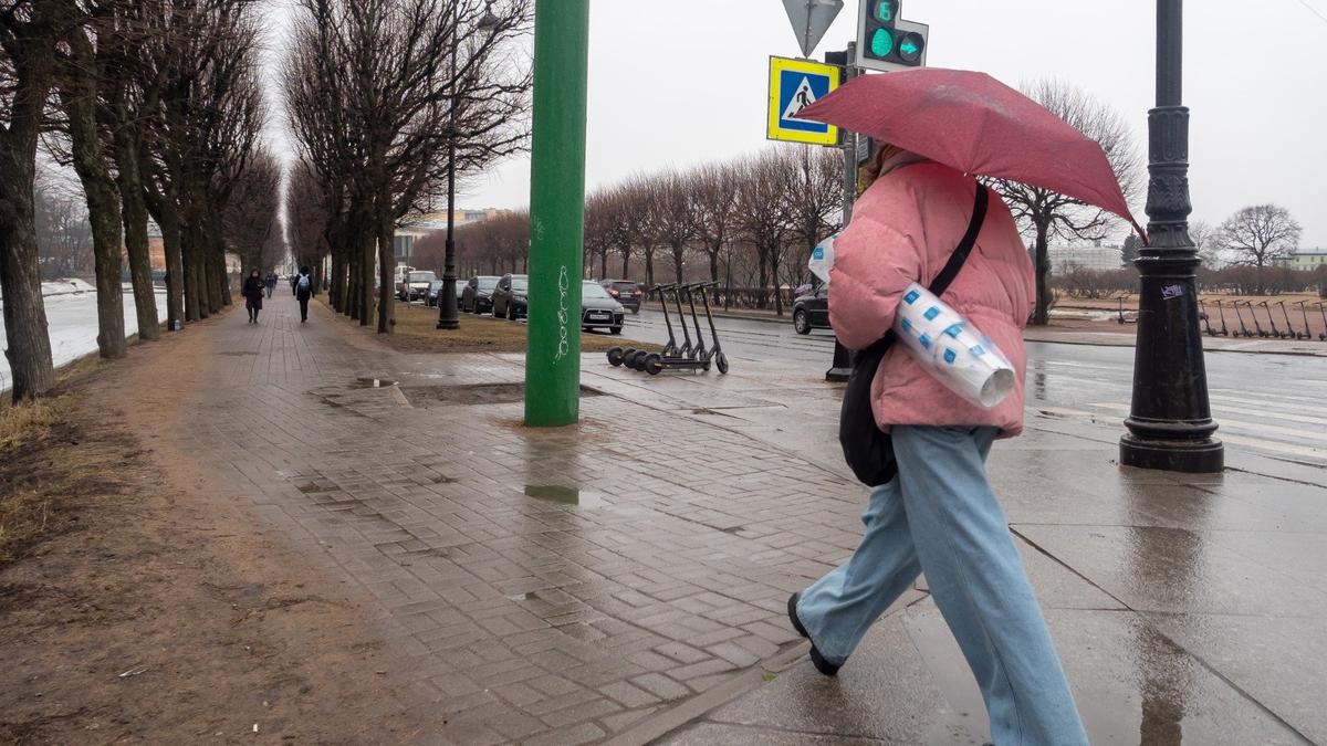 Фото: Олег Золото / МР7
