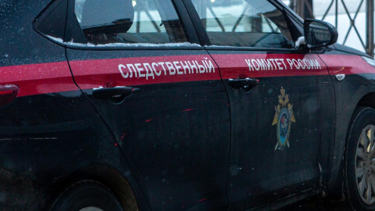 Фото: Олег Золото / МР7