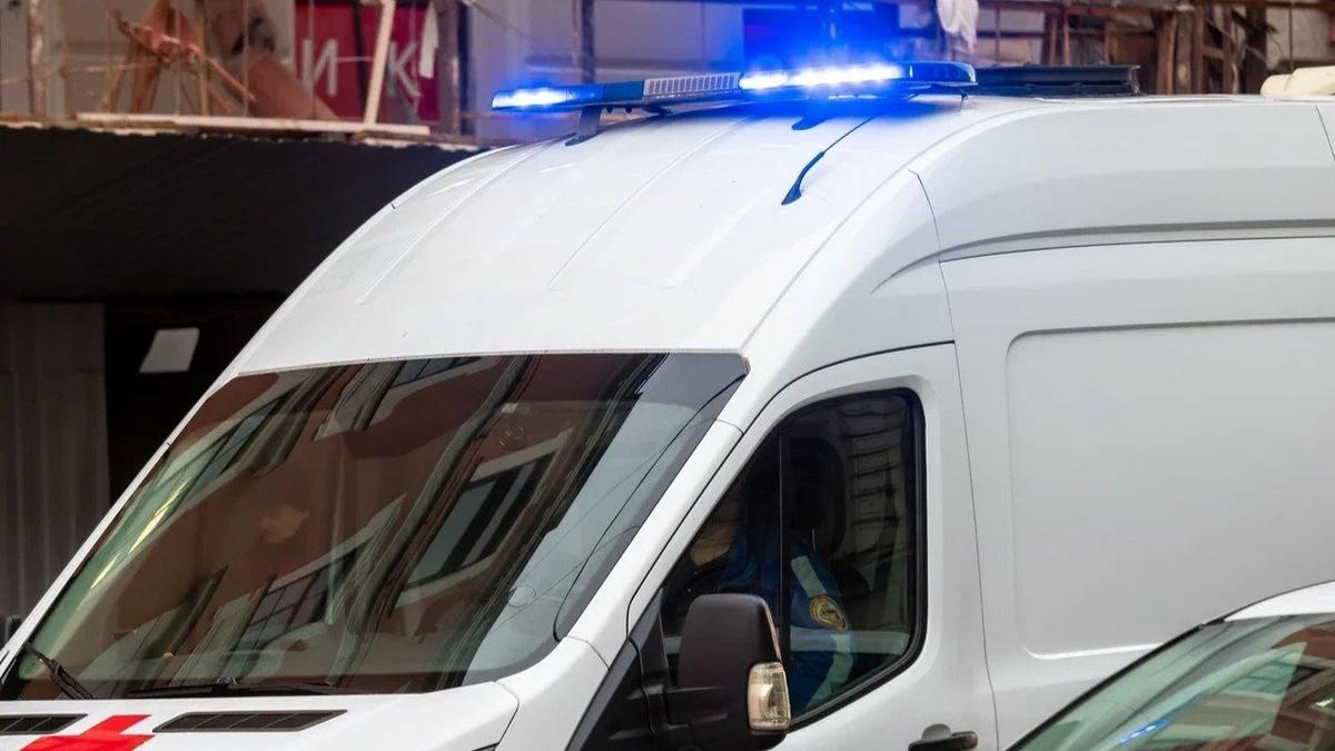 Фото: Олег Золото / МР7