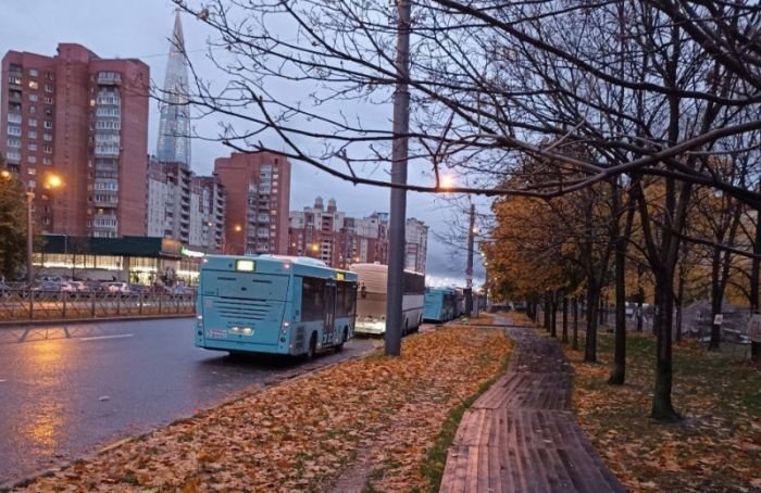 Рейсовые автобусы «отдыхают» под окнами петербуржцев
