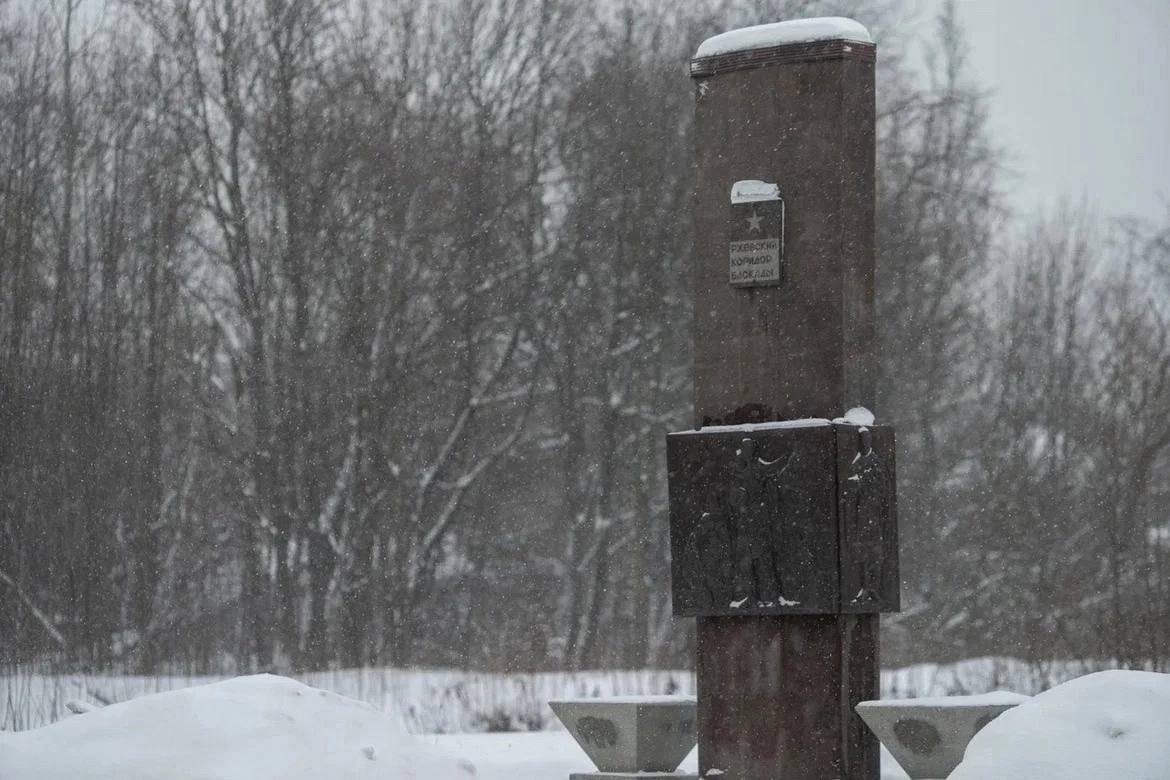 Фото: пресс-служба Красногвардейского района