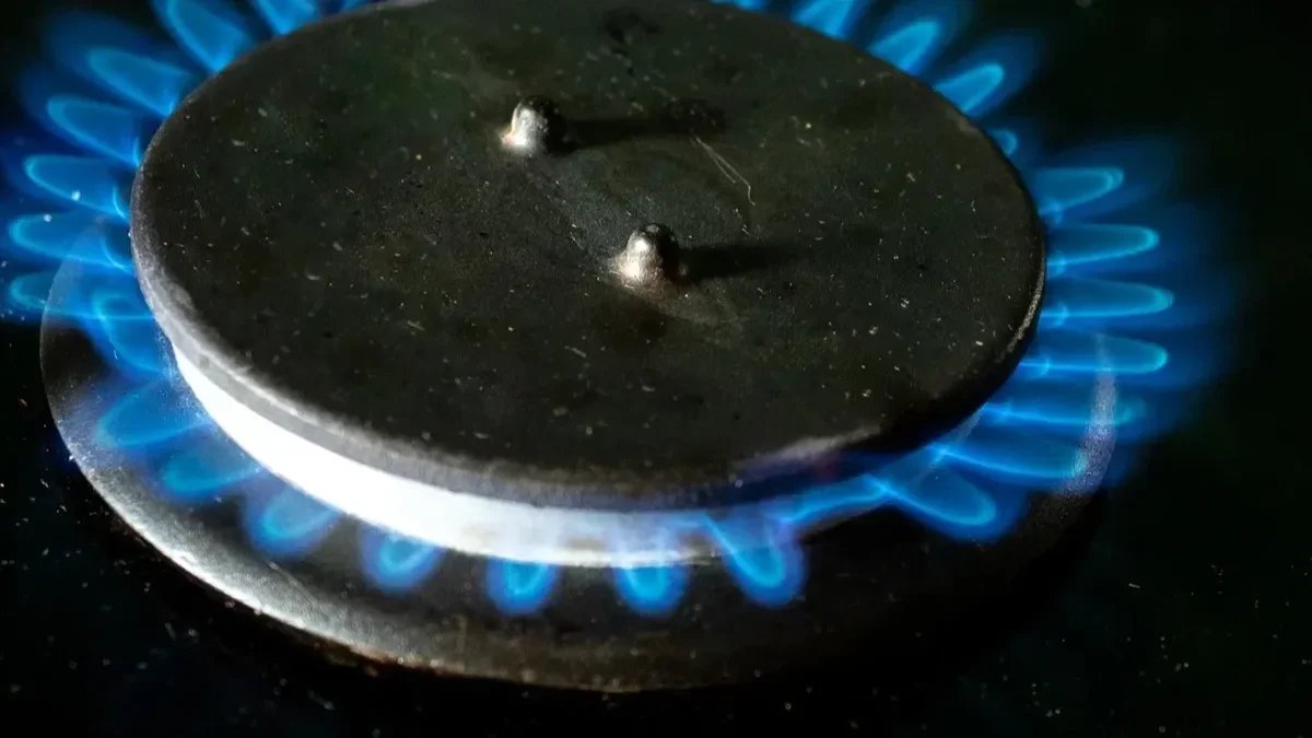 Фото: Олег Золото / MR7