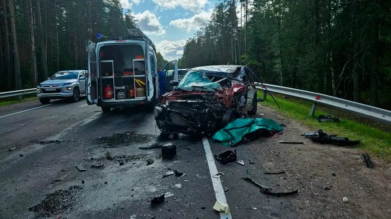 Фото: пресс-служба ГУ МВД по Петербургу и Ленобласти