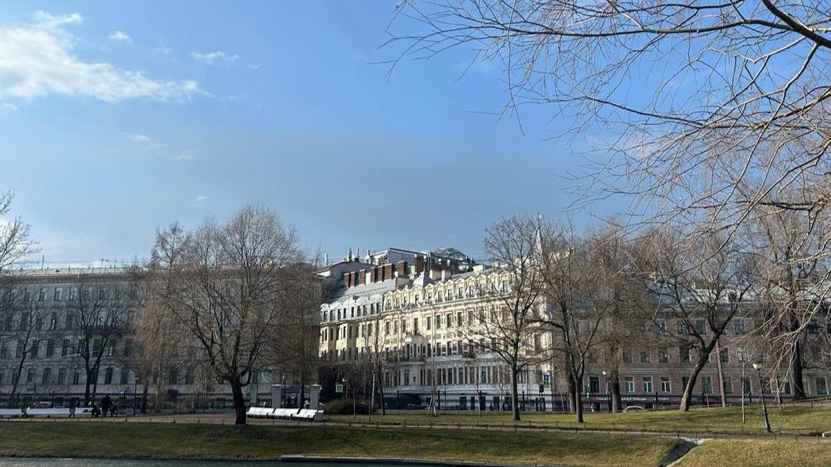 Фото: Дарья Дмитриева / МР7