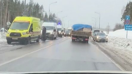 Фото: скриншот видео «Питер | Читай Пиши Люби»