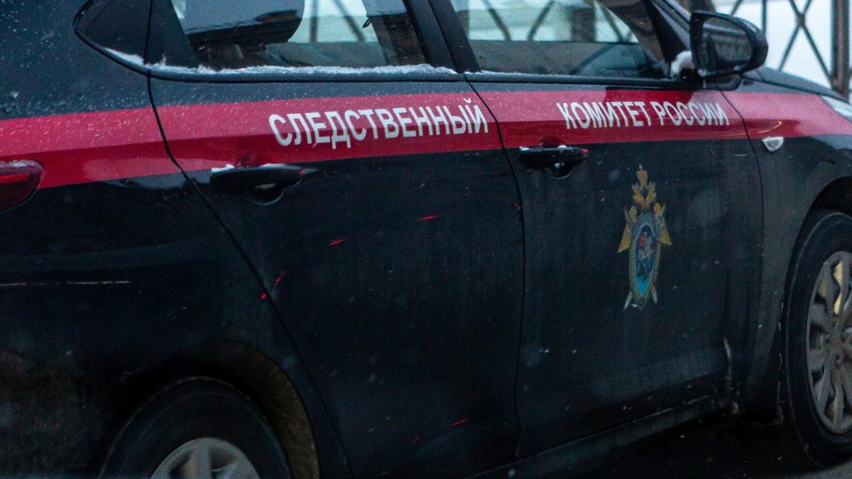Фото: Олег Золото / МР7