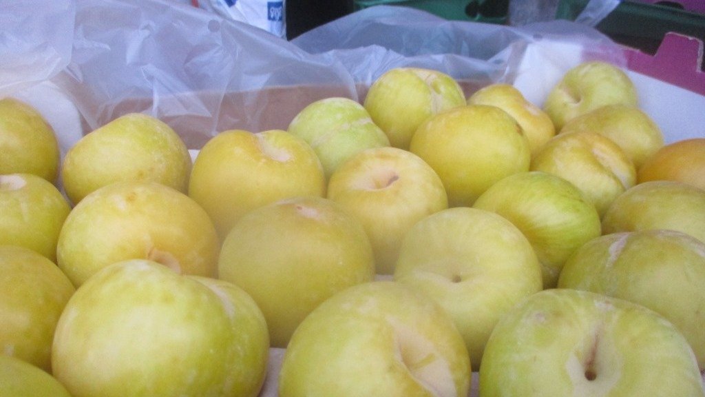 Фото: управление Россельхознадора по Северо-Западу