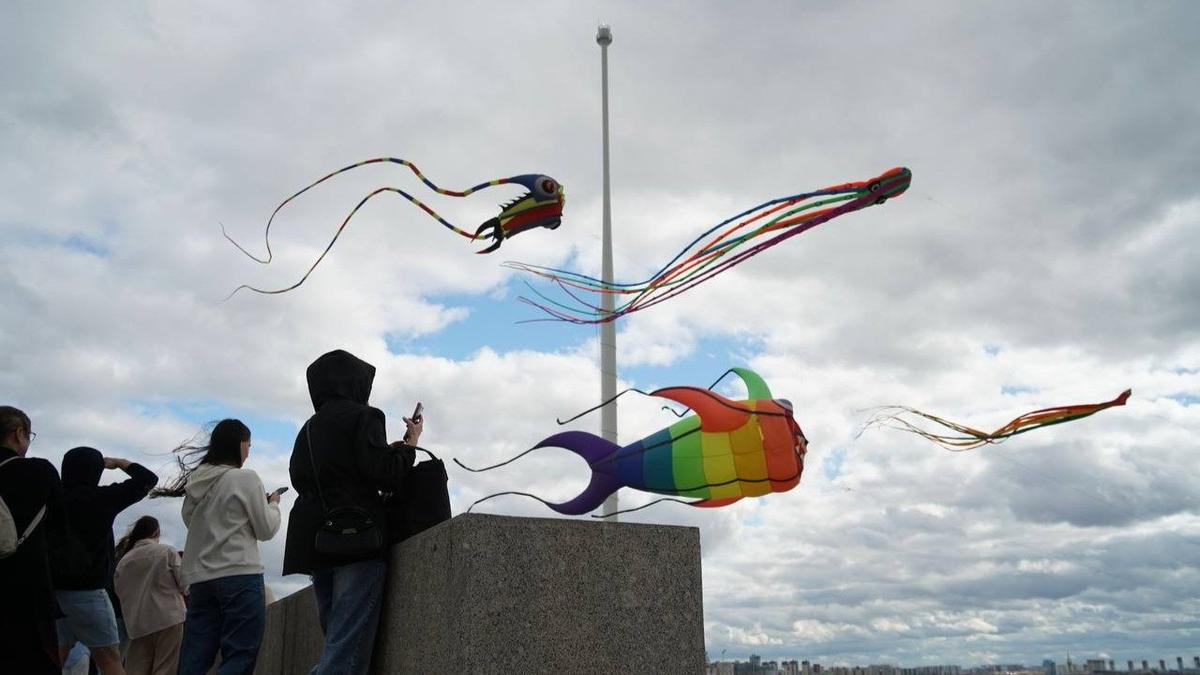 Фото: Павел Борисенко / MR7