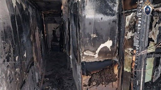 Фото: пресс-служба СК по Петербургу