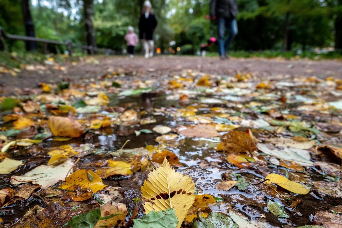 Фото: Олег Золото / MR7