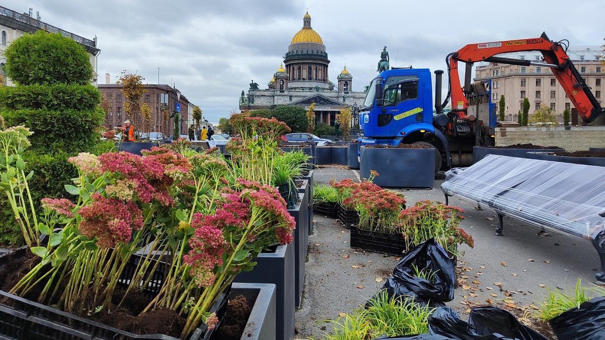 Фото: комитет по благоустройству Петербурга