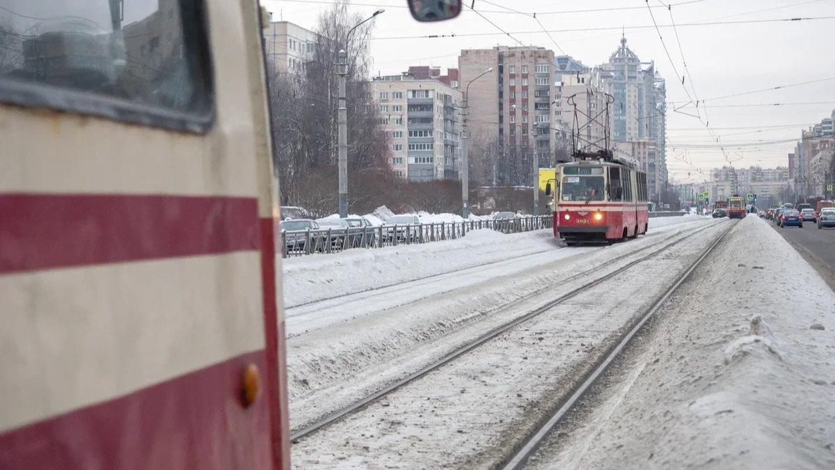 Фото: Олег Золото / MR7