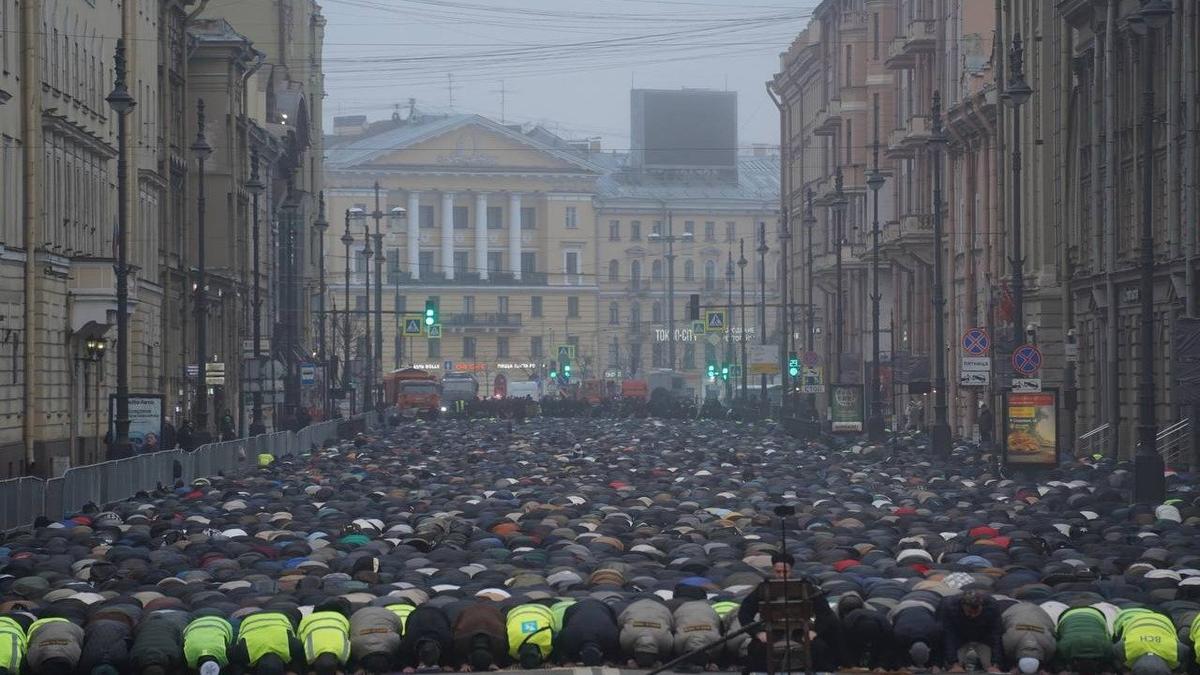 Фото: Павел Борисенко / MР7