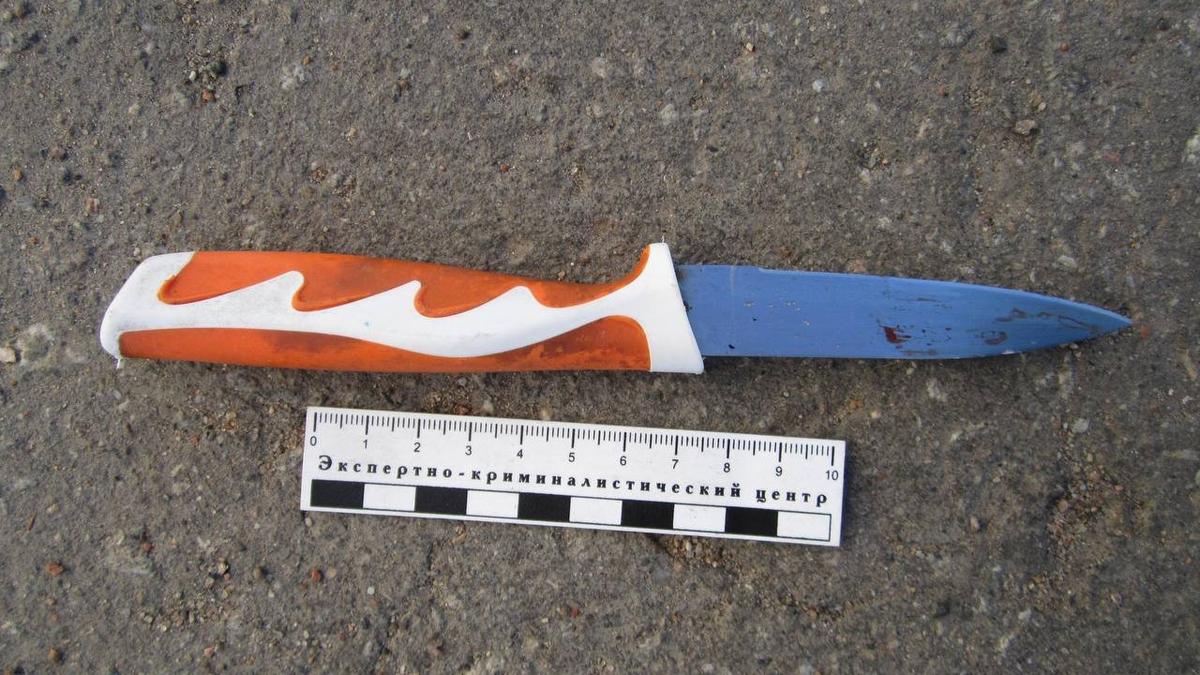 Фото: Прокуратура Петербурга