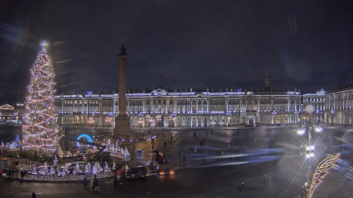 Скриншот: камеры Эрмитажа