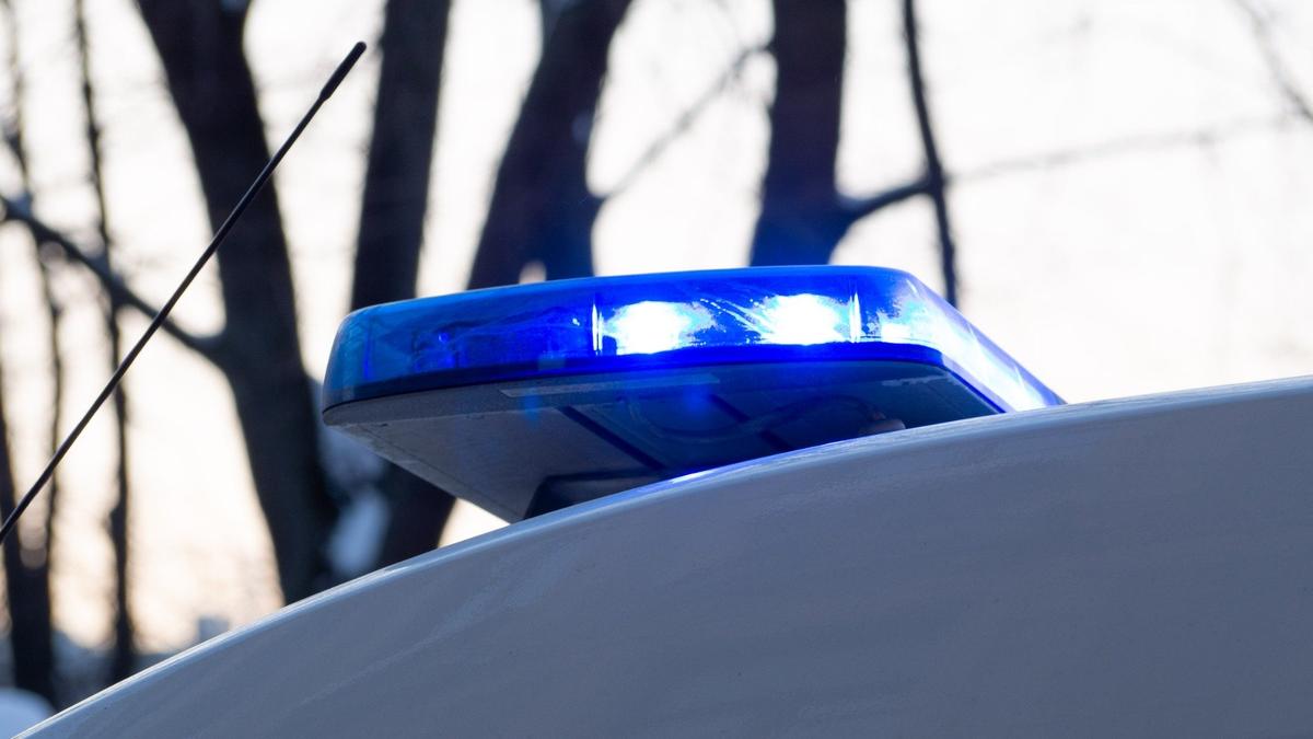 Фото: Дмитрий Абрамов / МР7