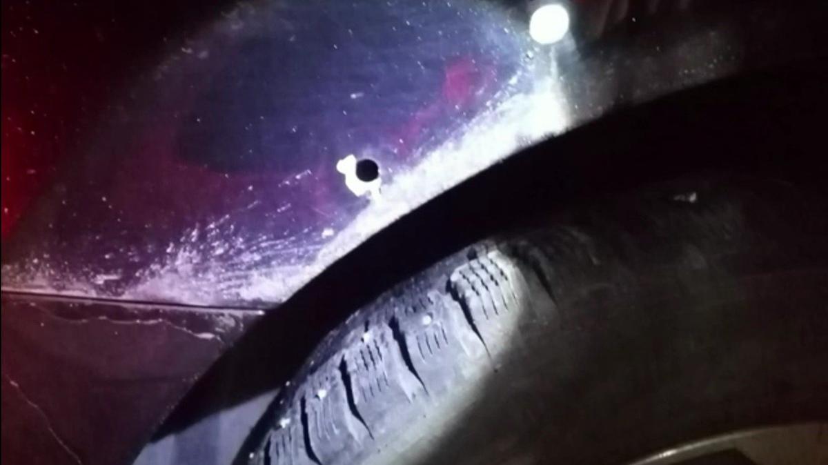 Скриншот видео: ГУ МВД по Петербургу и Ленобласти