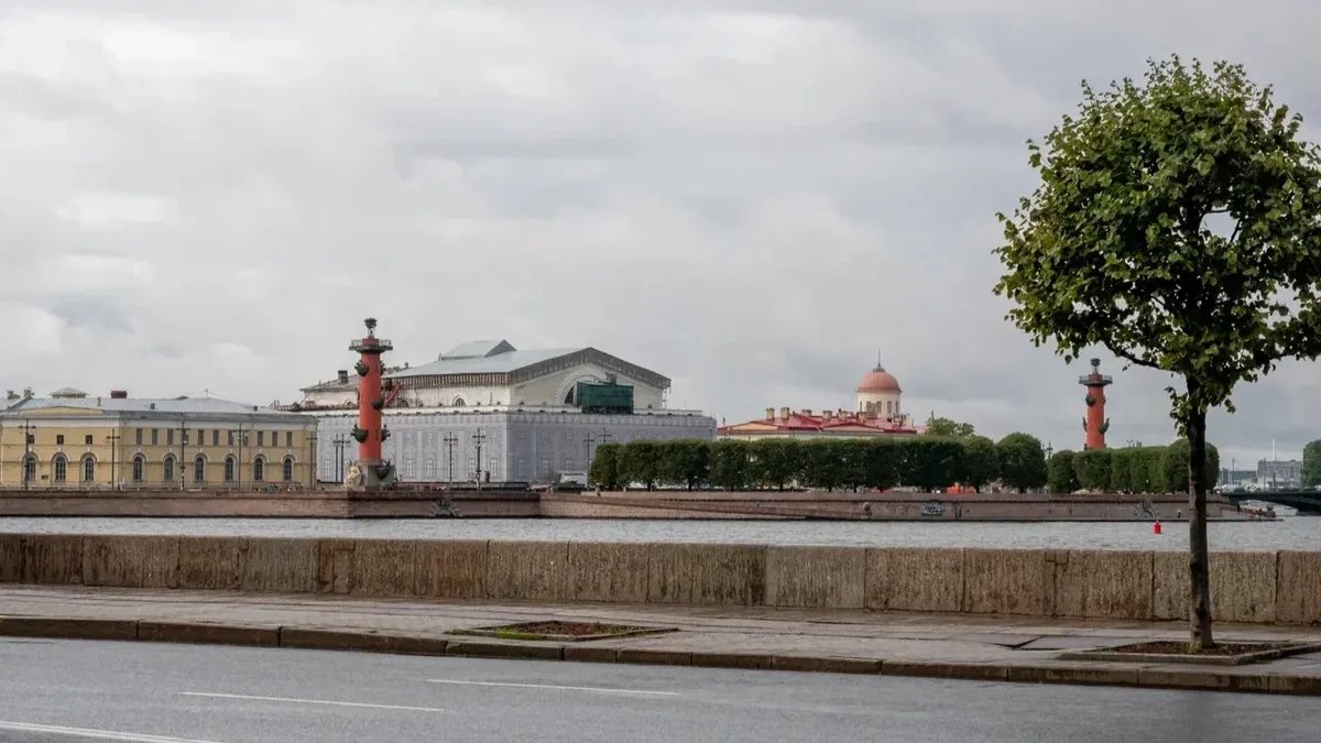 Фото: Олег Золото / МР7