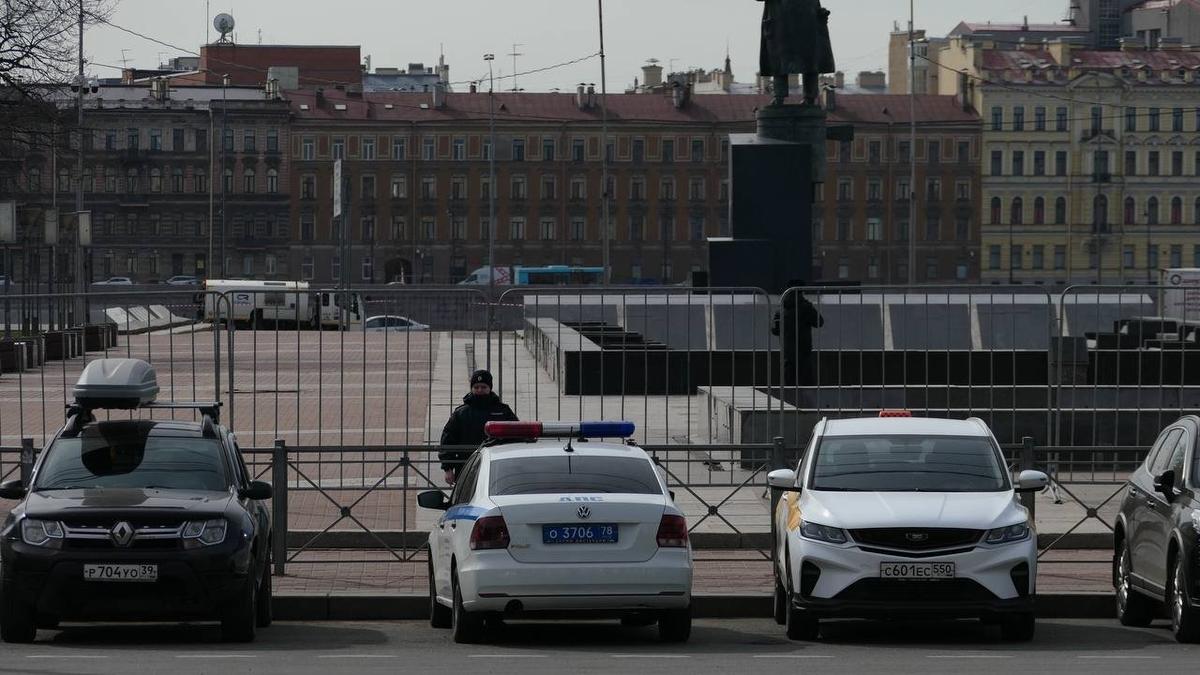 Фото: Дарья Дмитриева / МР7