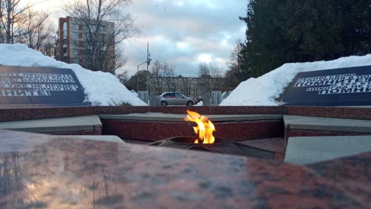 Фото: ГУ Росгвардии по Петербургу и Ленобласти