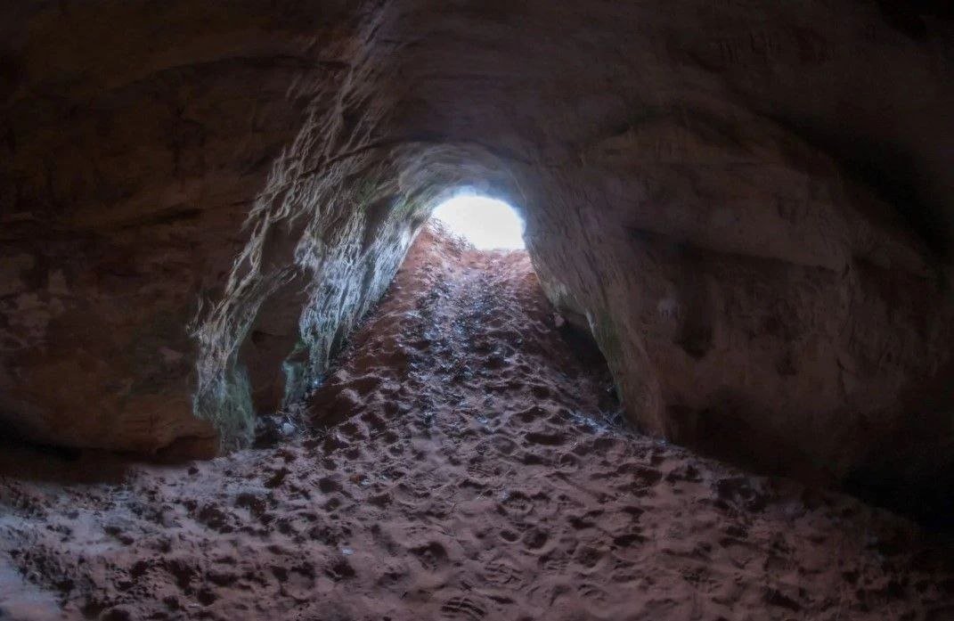 Фото: комитет по природным ресурсам Ленобласти