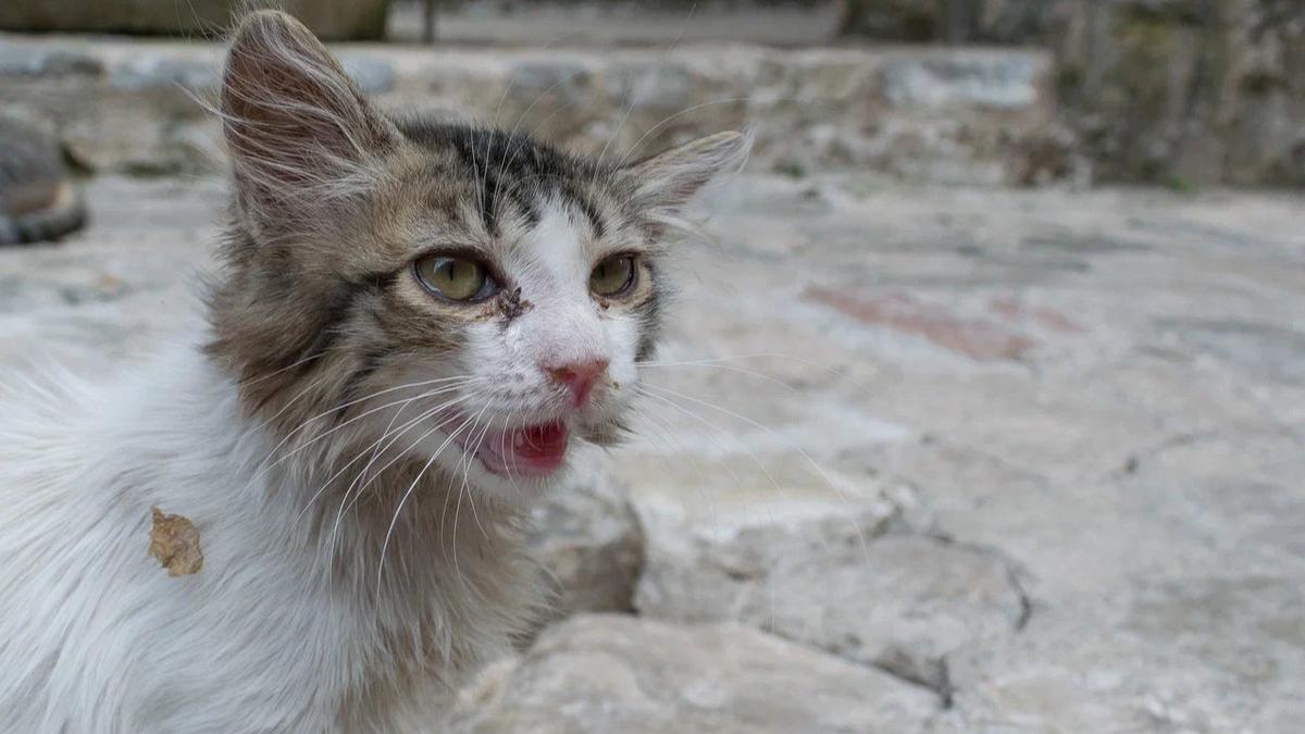 Фото: Дмитрий Абрамов / MR7