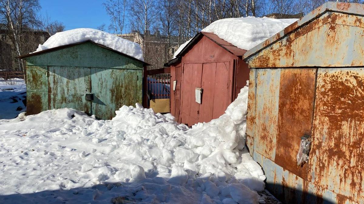 Суд взыскал с гаражного кооператива 84 тысячи рублей за вырубку деревьев