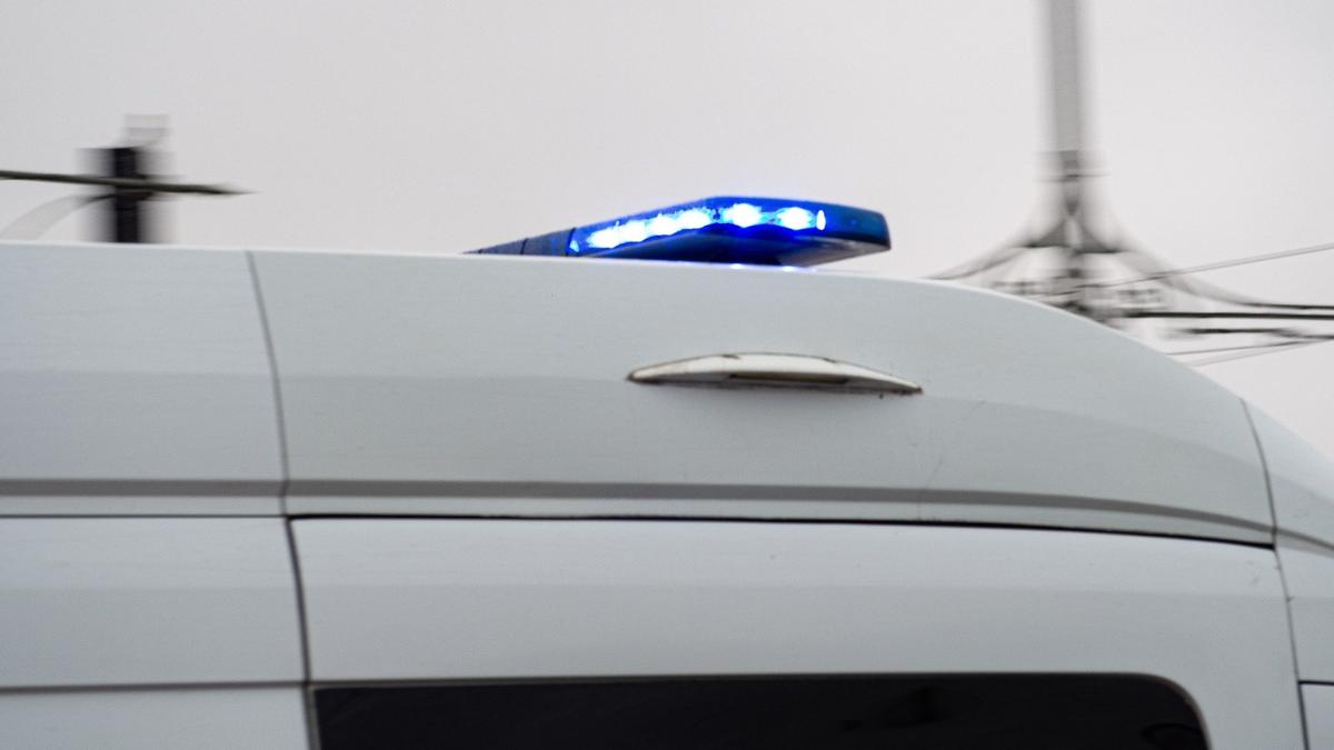 Конфликт по выгулу собак обернулся для петербуржцев госпитализацией и задержанием