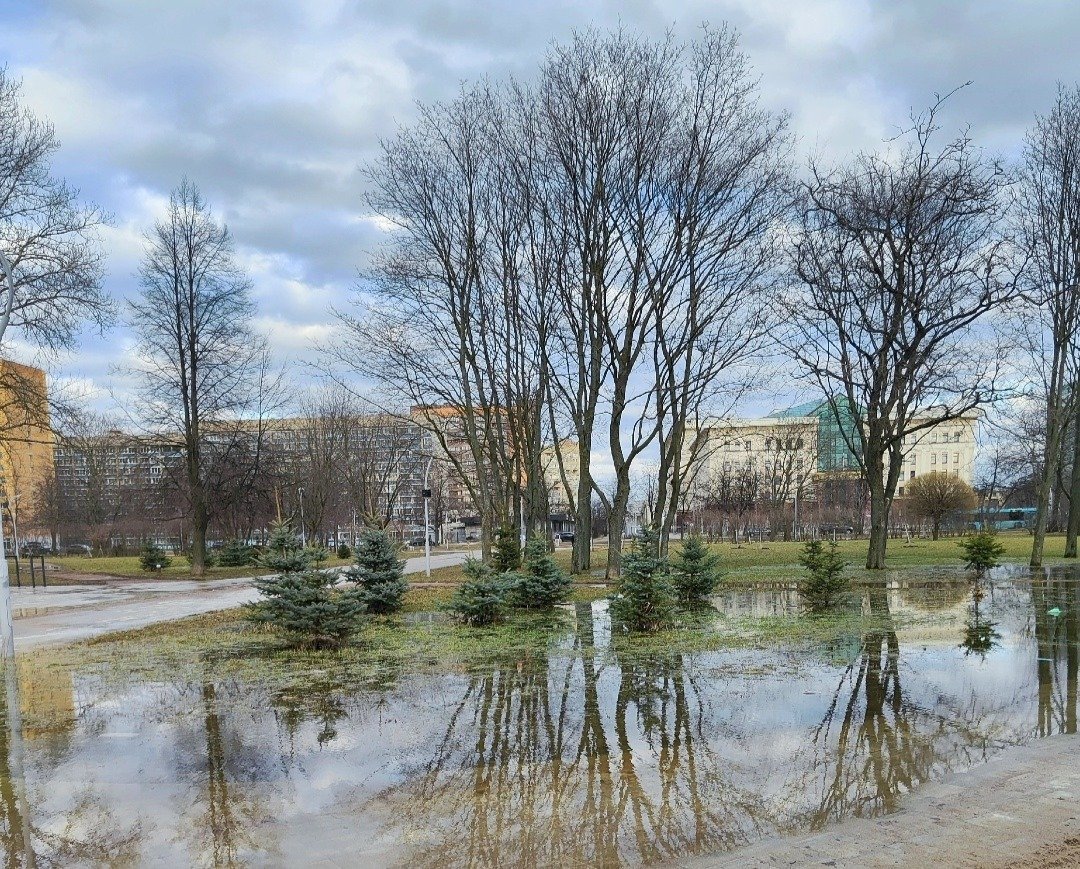 Парк Авиаторов 29 марта 2025 года. Фото: «Жители МО Новоизмайловское | Московский район»