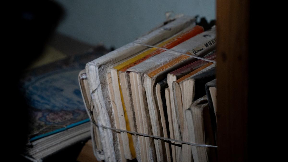 Фото: Павел Борисенко / МР7